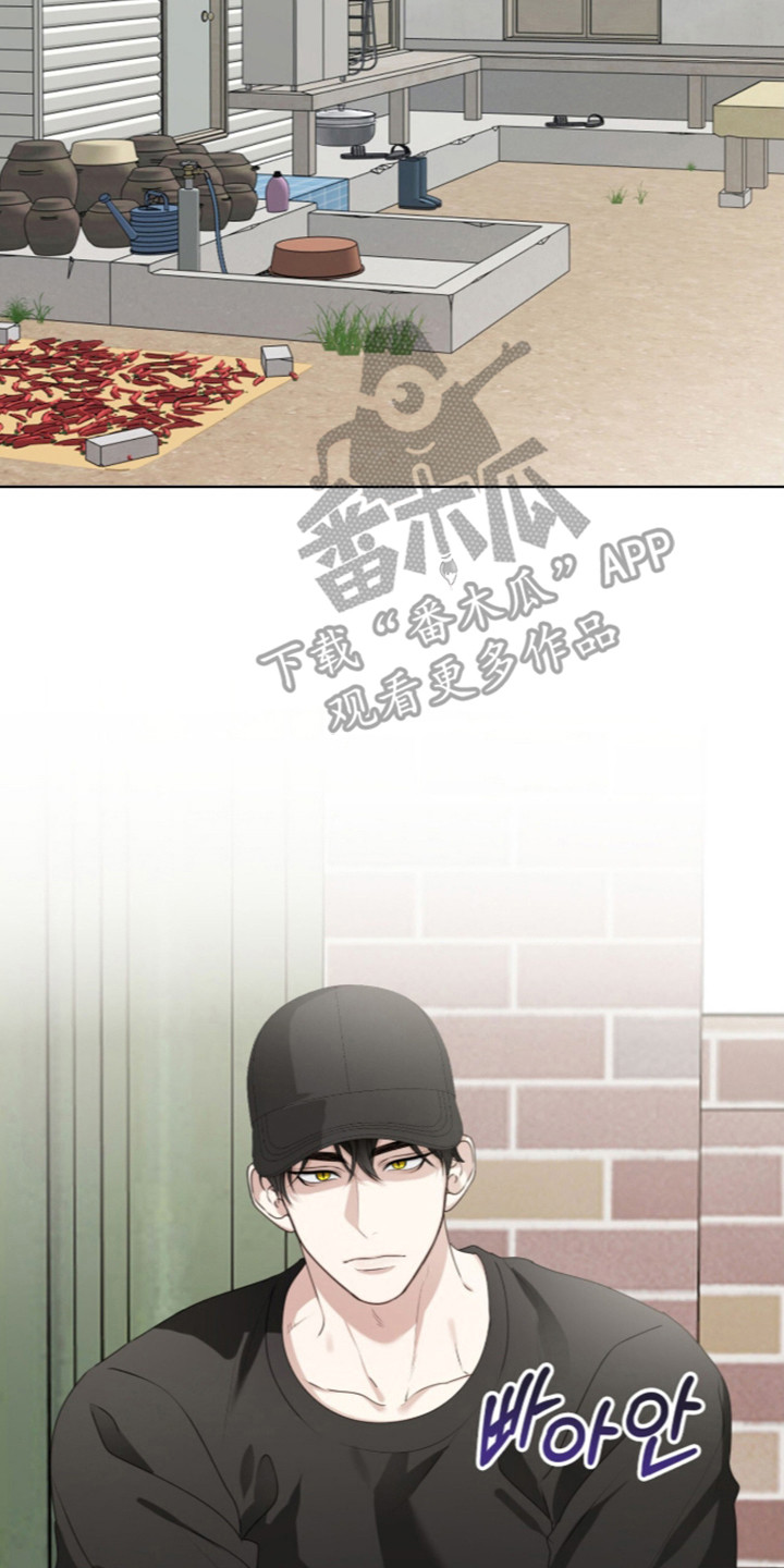 猛兽勿近漫画,第72章：秘密小溪2图