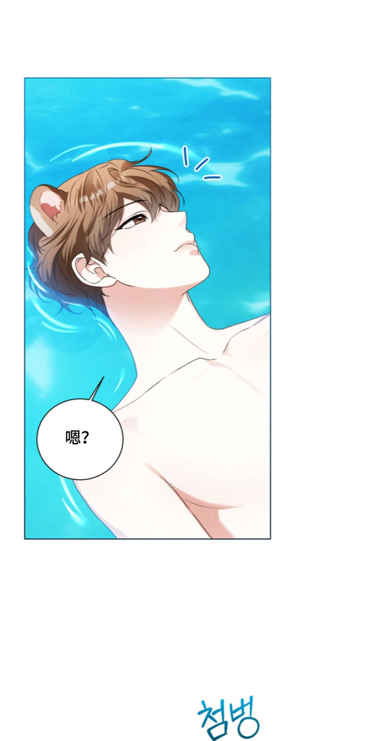 猛兽勿近漫画书正版漫画,第72章：秘密小溪3图