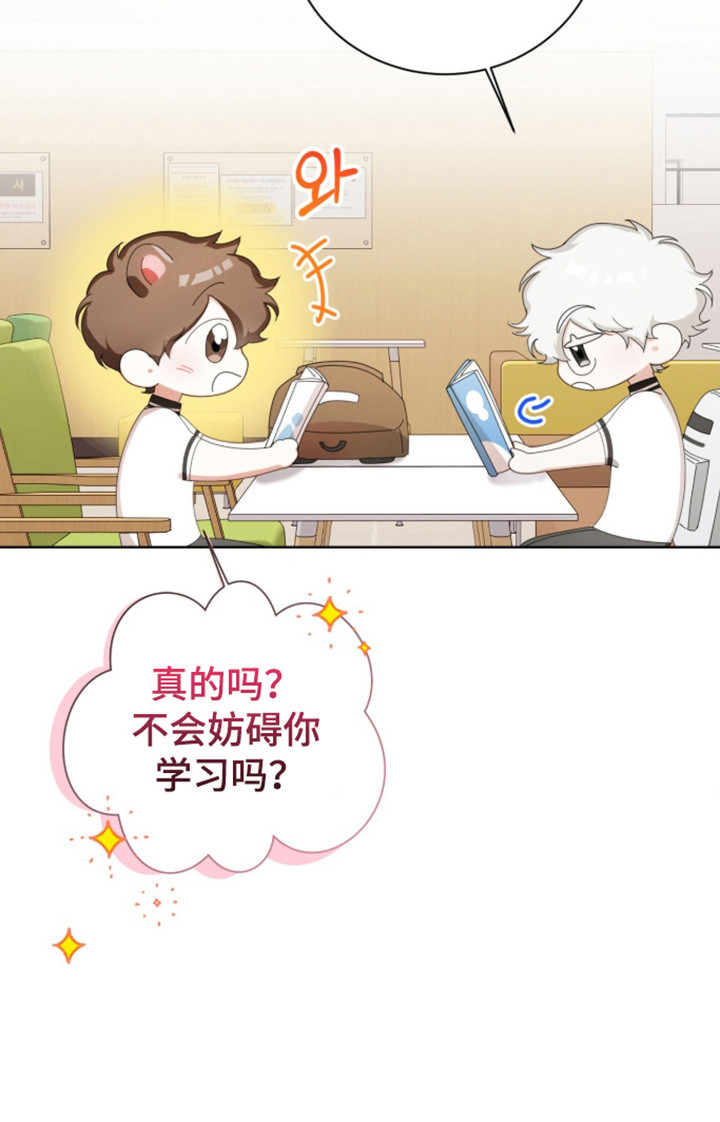 猛兽勿近小说名在哪里看漫画,第66章：一起学习2图