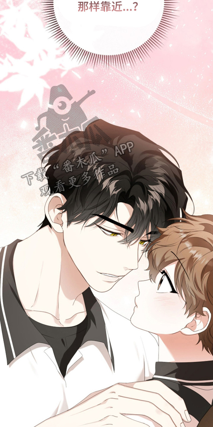 猛兽勿近漫画剧情漫画,第67章：亲爱关系2图