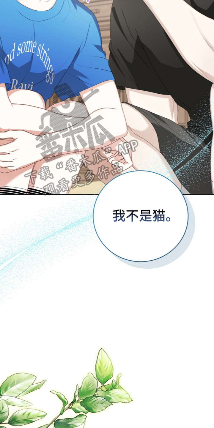猛兽勿近漫画书正版漫画,第72章：秘密小溪5图