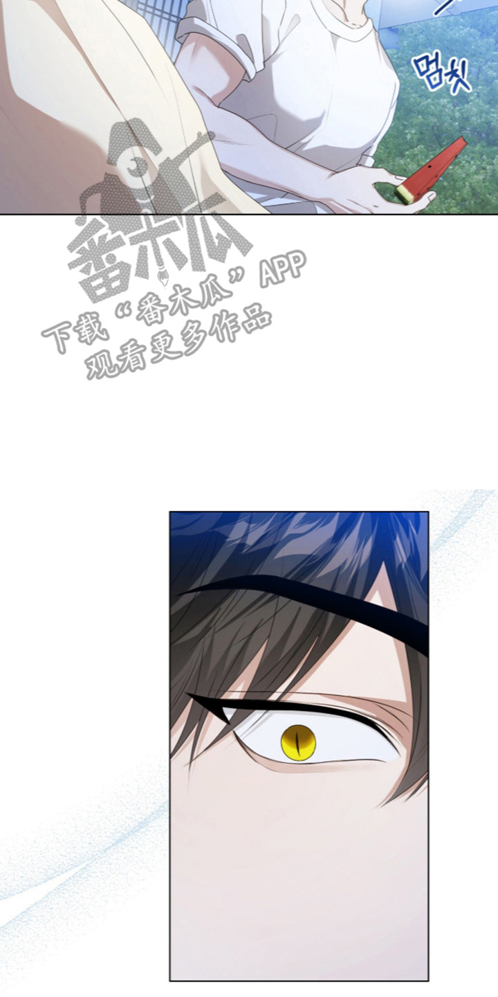 猛兽勿近漫画书正版漫画,第73章：完美的生日（第一季完结）5图