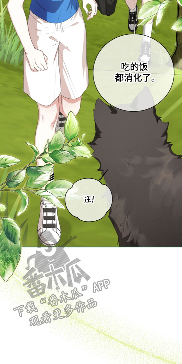 猛兽勿近漫画书正版漫画,第72章：秘密小溪3图