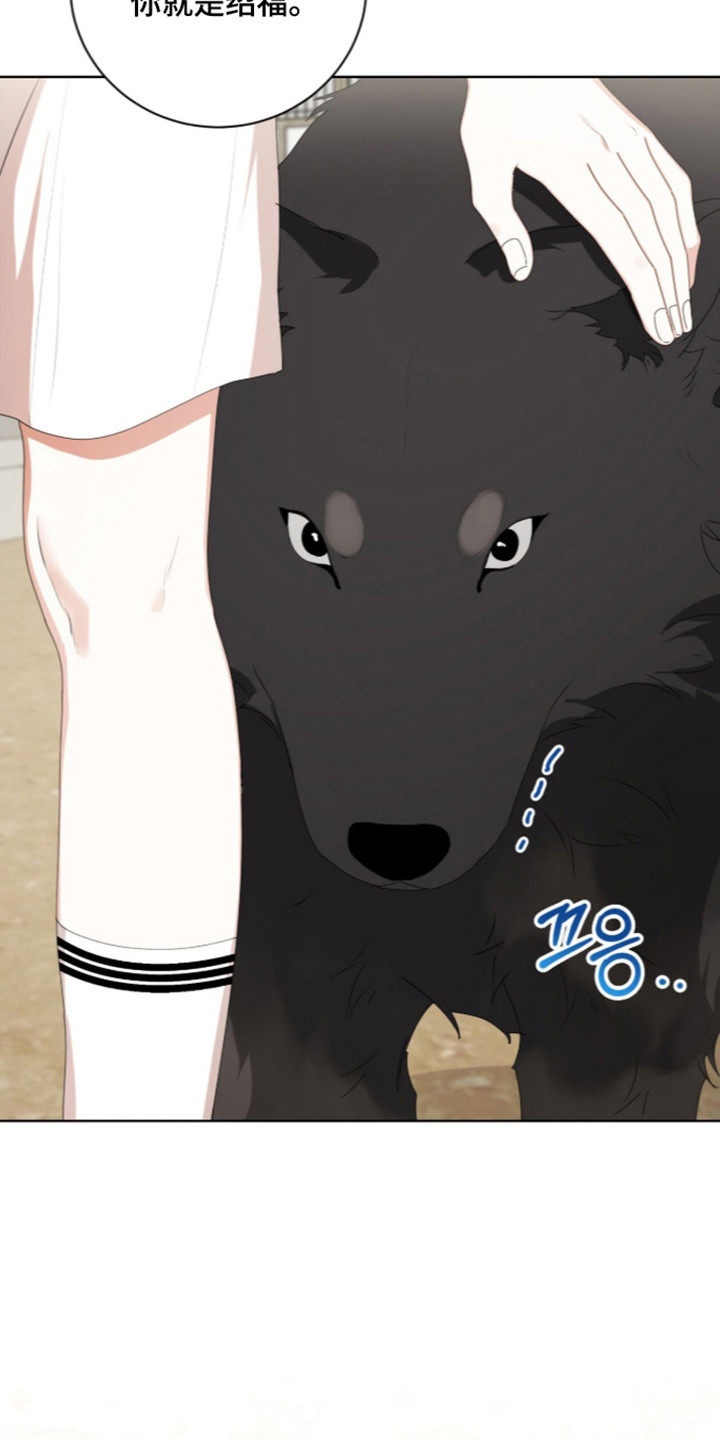 猛兽勿近漫画,第72章：秘密小溪4图