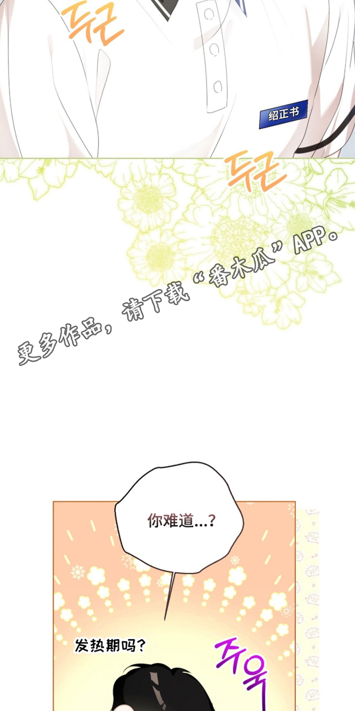 猛兽勿近漫画,第69章：确认爱意1图