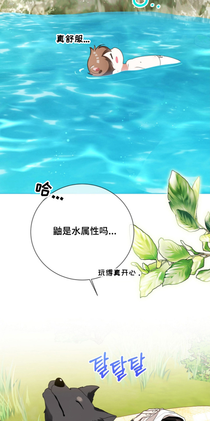 猛兽勿近漫画书正版漫画,第72章：秘密小溪1图