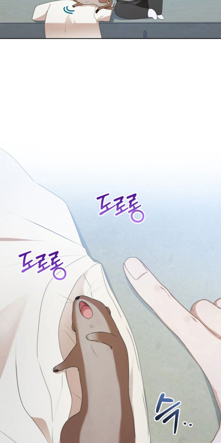 猛兽勿近漫画书正版漫画,第73章：完美的生日（第一季完结）3图