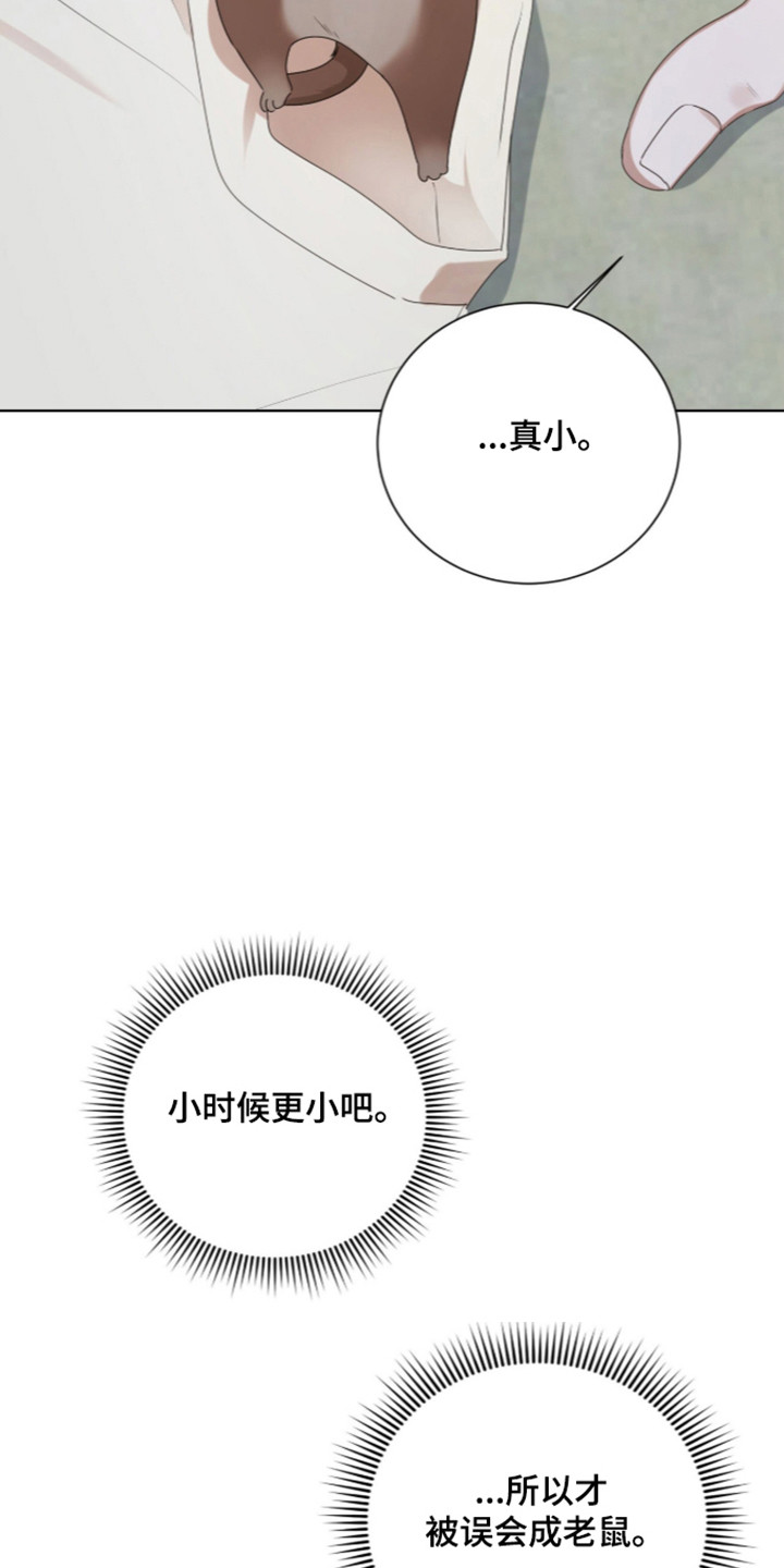 猛兽勿近漫画书正版漫画,第73章：完美的生日（第一季完结）4图