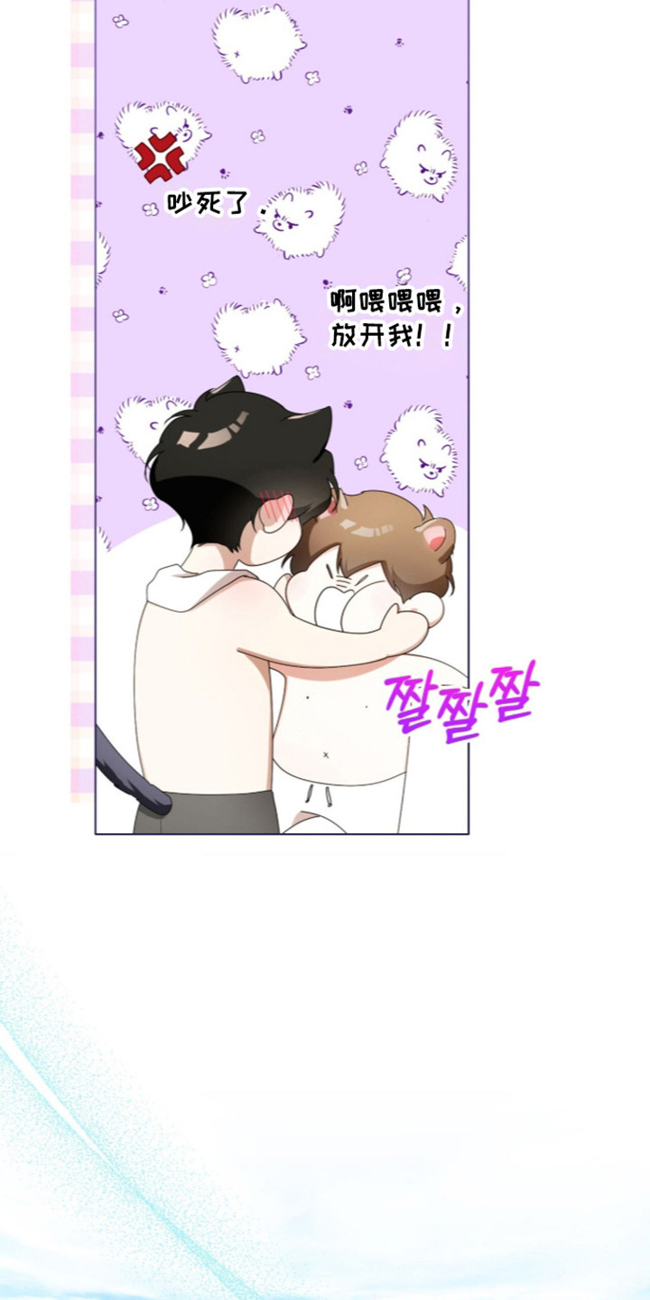 猛兽勿近漫画,第73章：完美的生日（第一季完结）5图