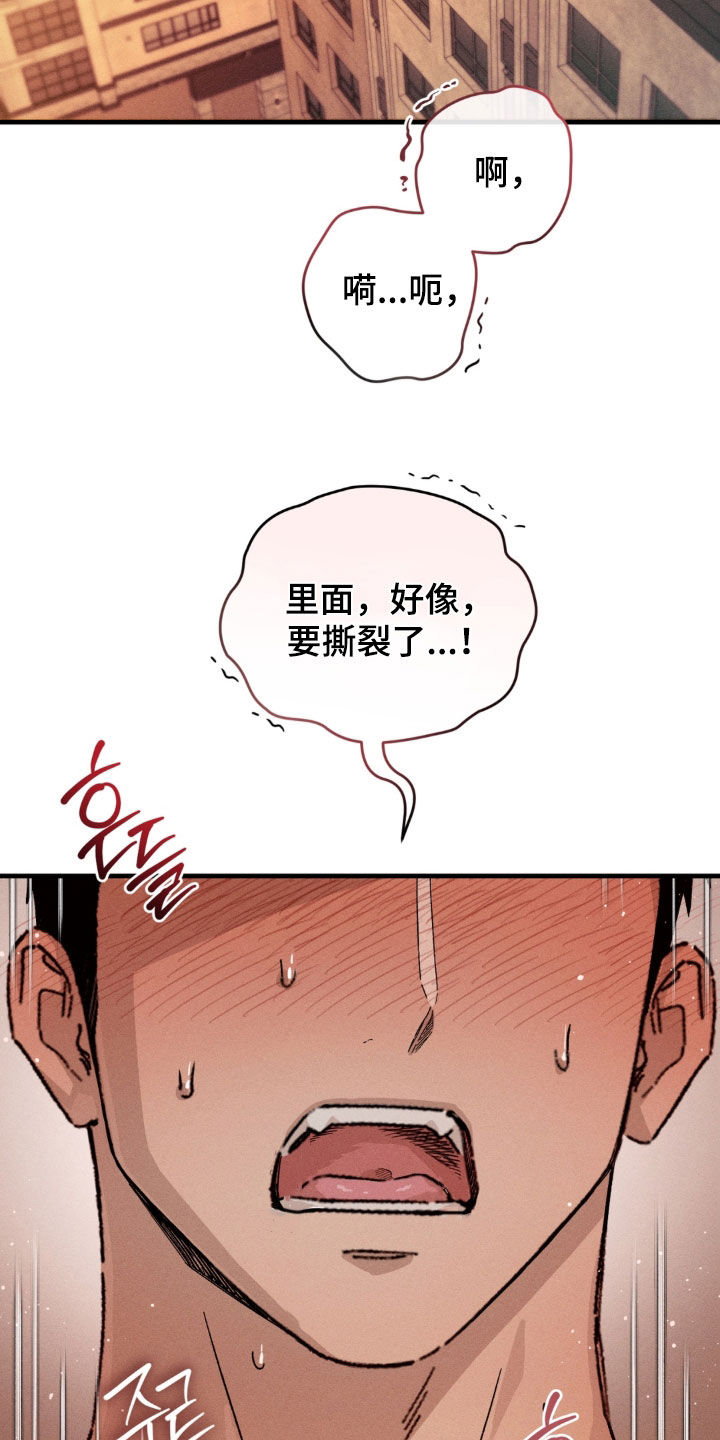 陷落潮汐漫画,第52章：幸福（完结）4图