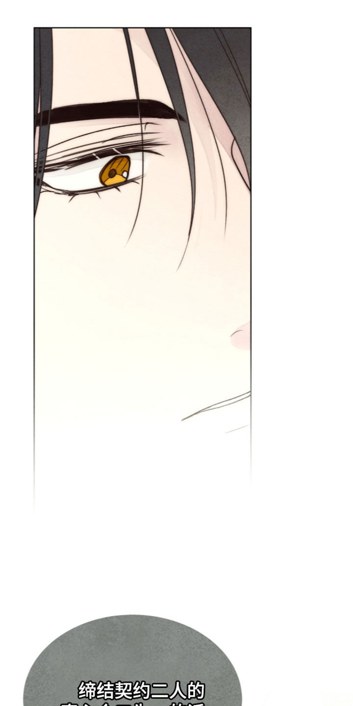 冰封的王嫁漫画,第46章：我一无所有1图