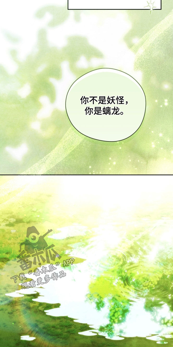 最后的龙雨漫画,第52章：你不怀念吗5图