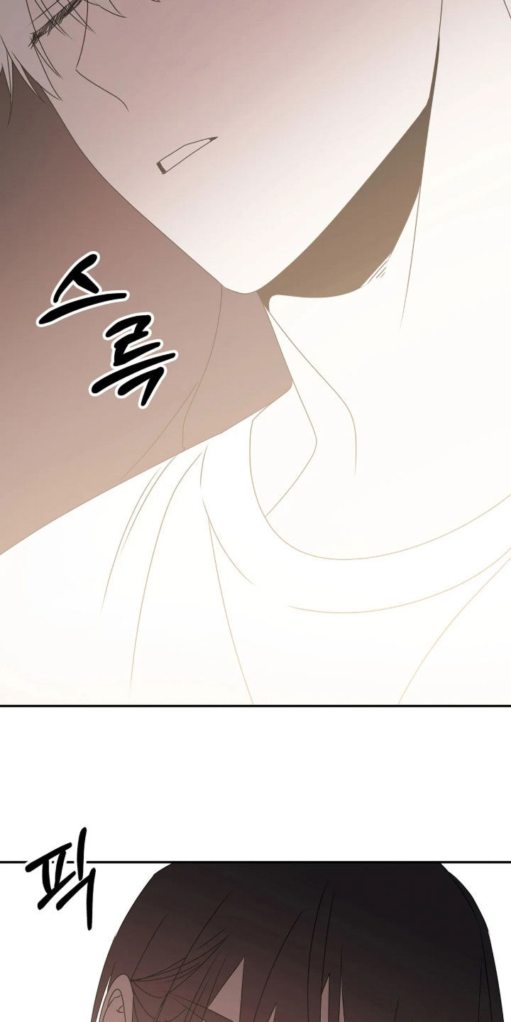 底牌与谎言漫画,第40章：最幸福的人2图