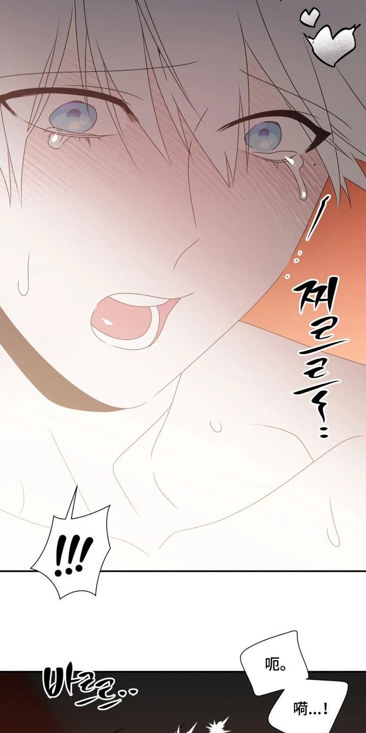 底牌与谎言漫画,第41章：别逞强4图
