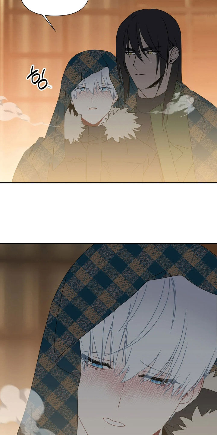底牌与谎言漫画,第43章：满载爱意（完结）5图