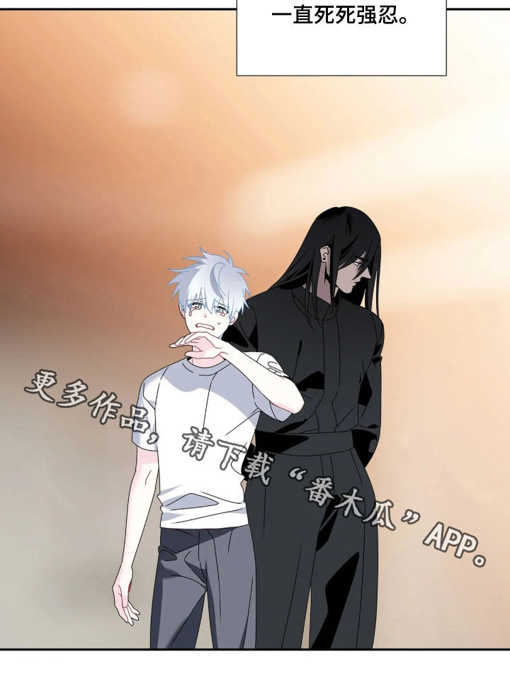底牌与谎言漫画,第39章：向我赎罪2图