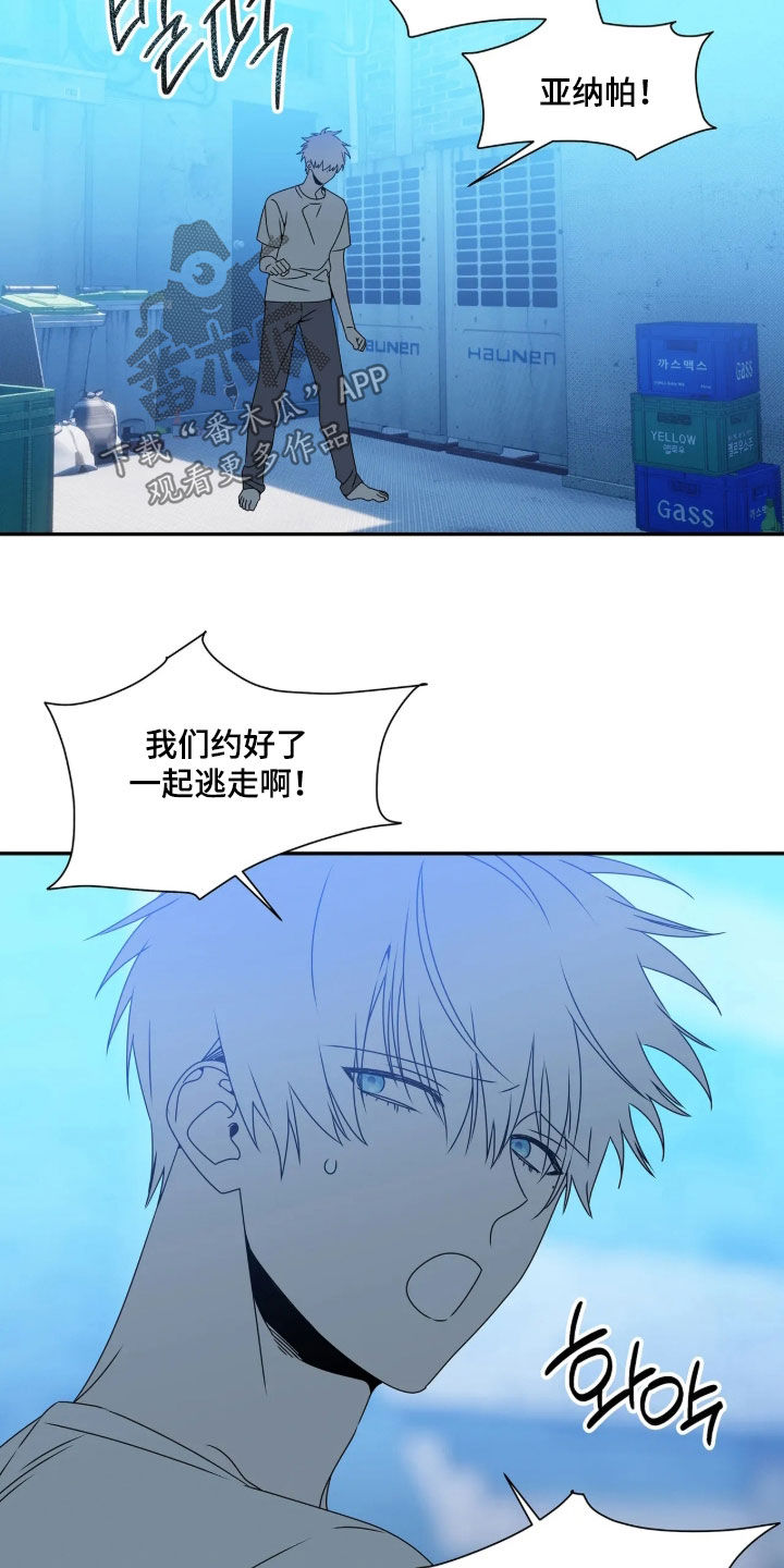 底牌与谎言漫画,第39章：向我赎罪3图