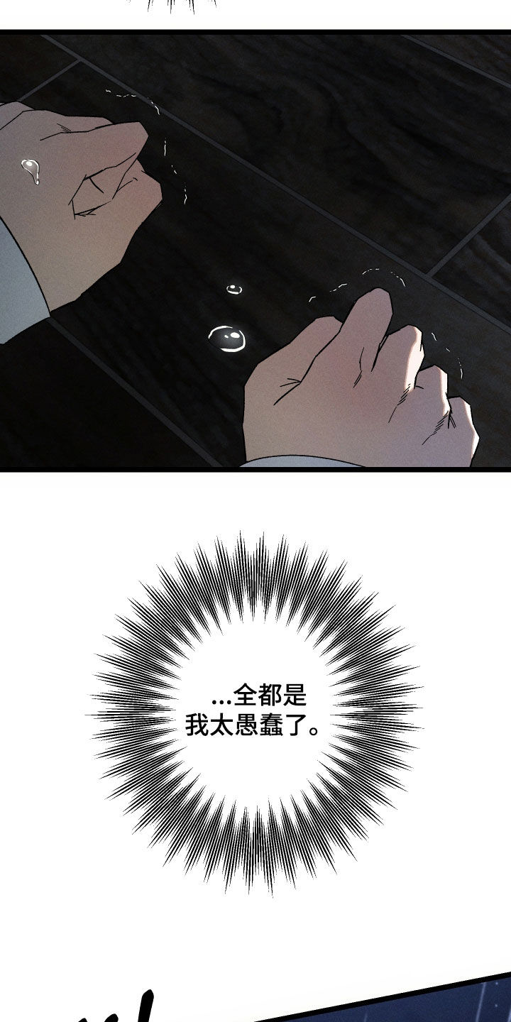 窥秘者漫画,第39章：我太愚蠢了3图