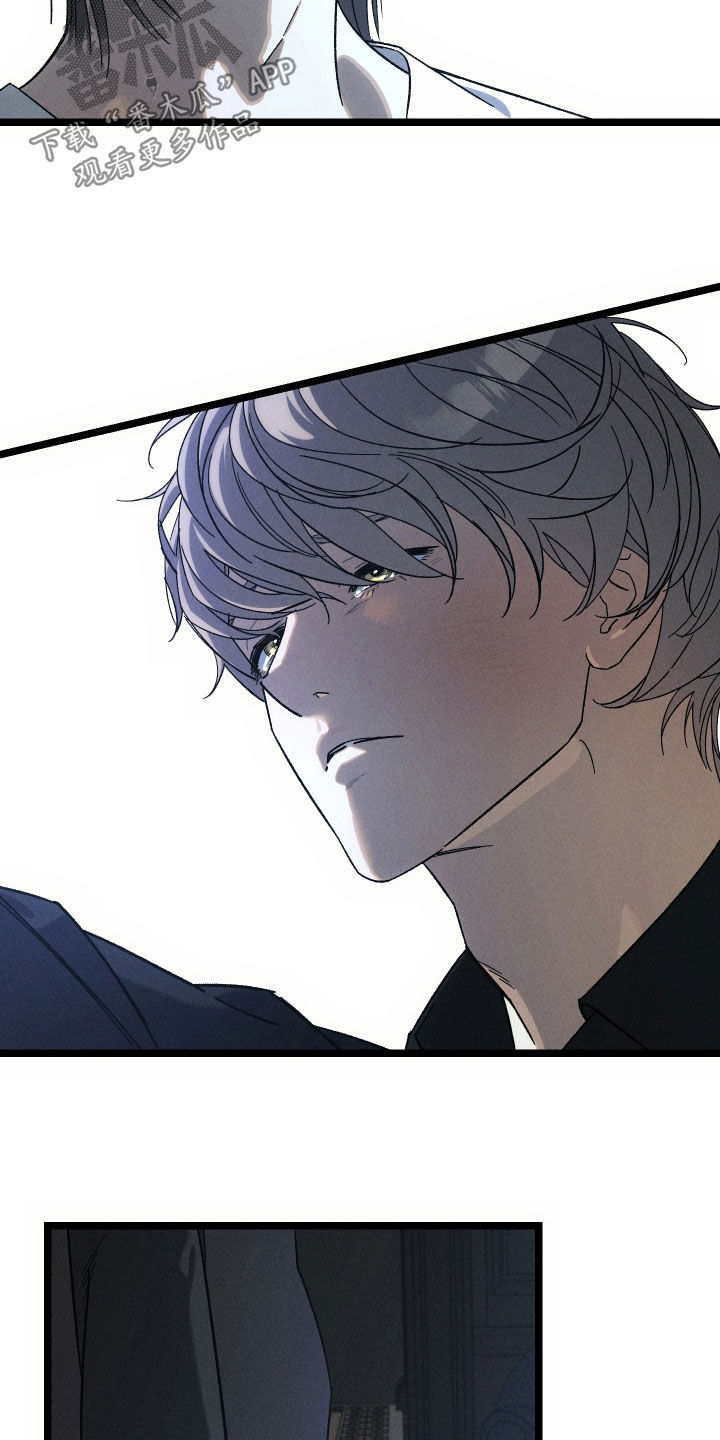 窥秘者漫画,第38章：为什么！1图