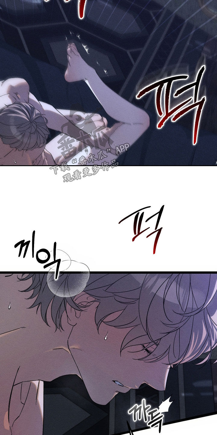窥秘者漫画,第42章：不会让你受伤1图