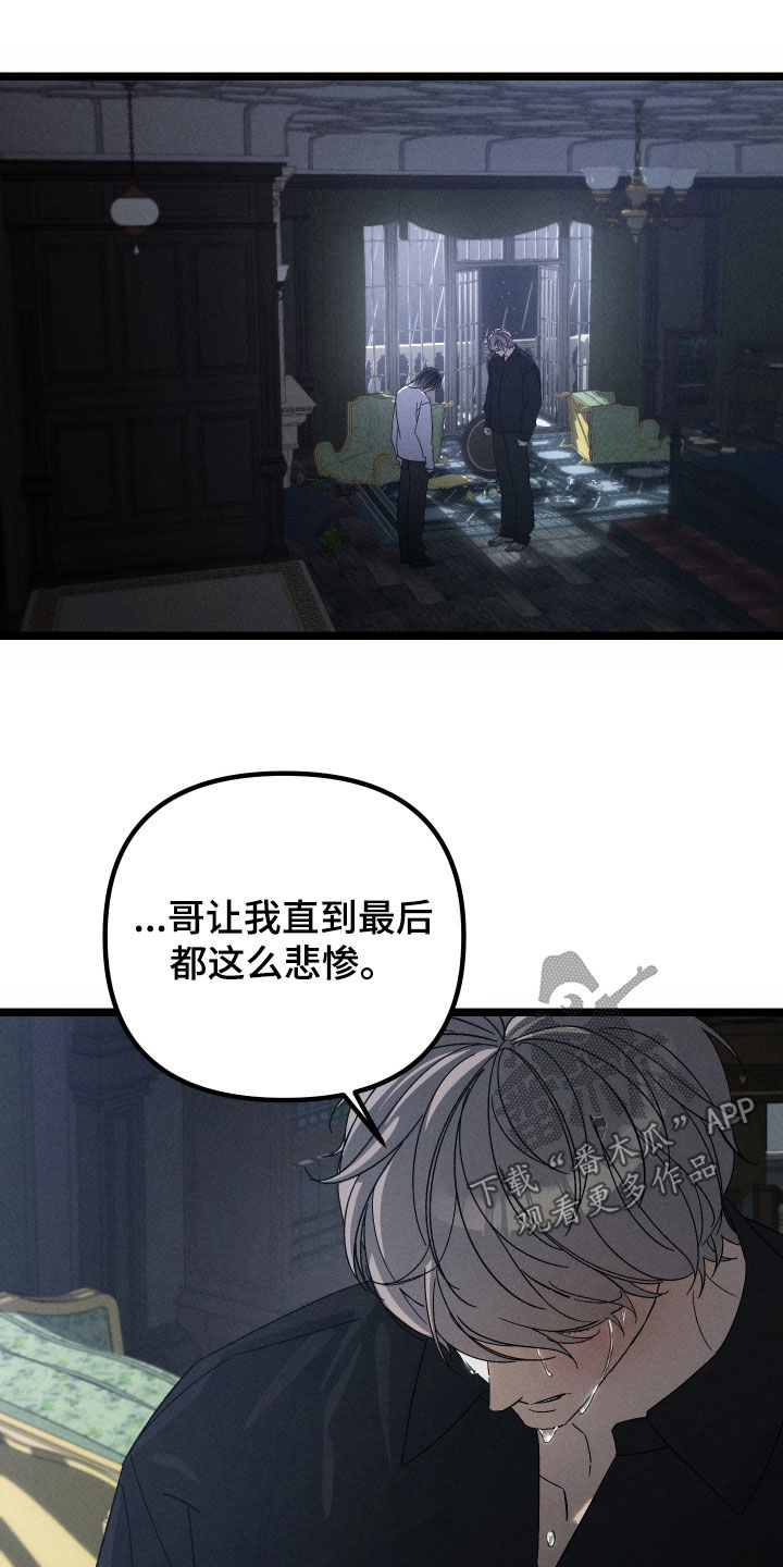 窥秘者漫画,第39章：我太愚蠢了4图
