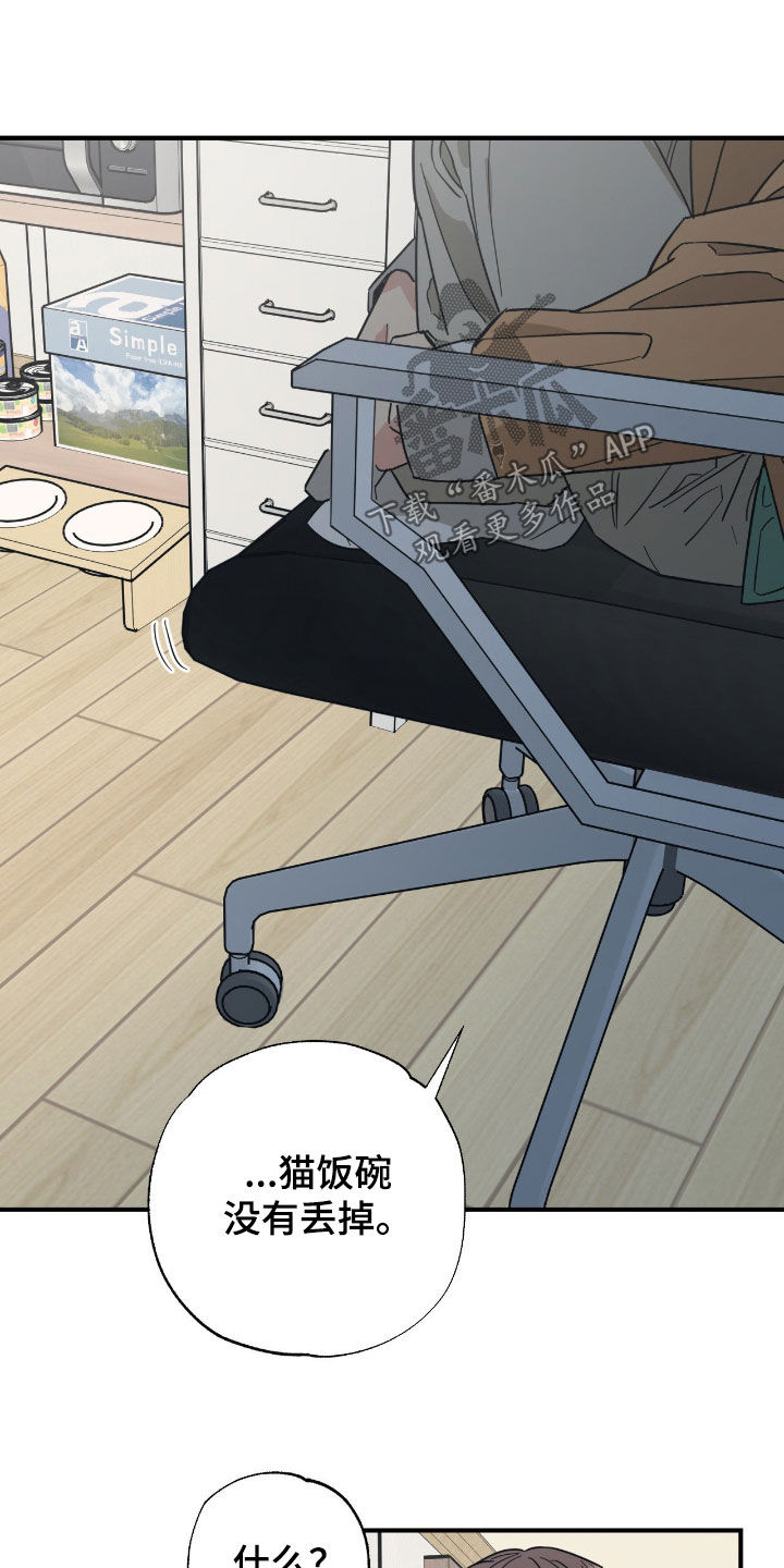 猫大爷和我漫画,第34章：渣男2图