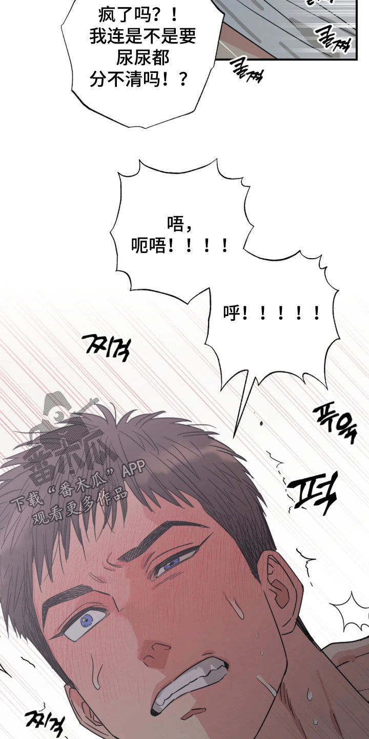猫大爷和我漫画,第38章：太不像话了2图