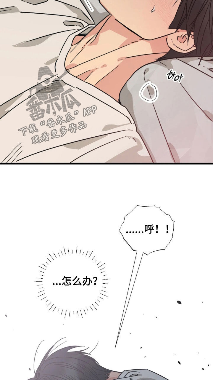 猫大爷和我漫画,第38章：太不像话了2图