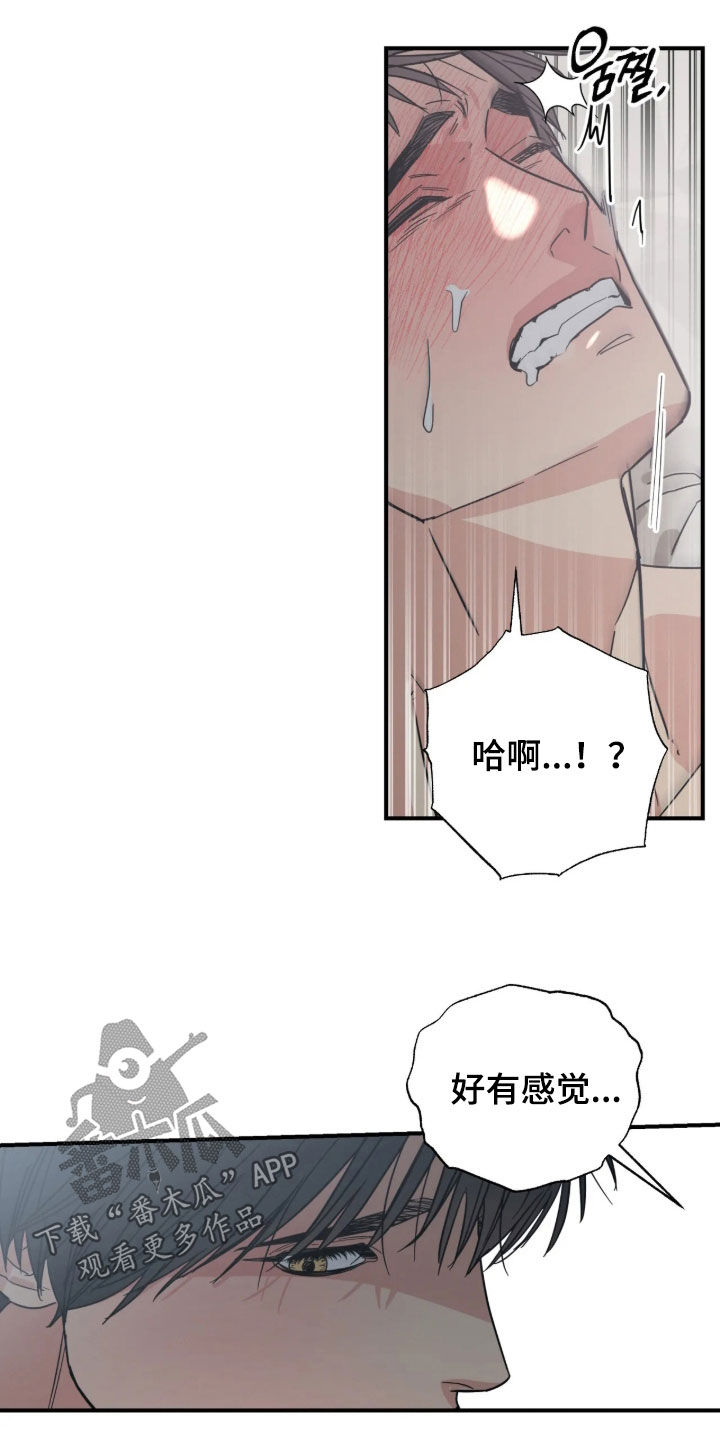 猫大爷和我漫画,第38章：太不像话了4图