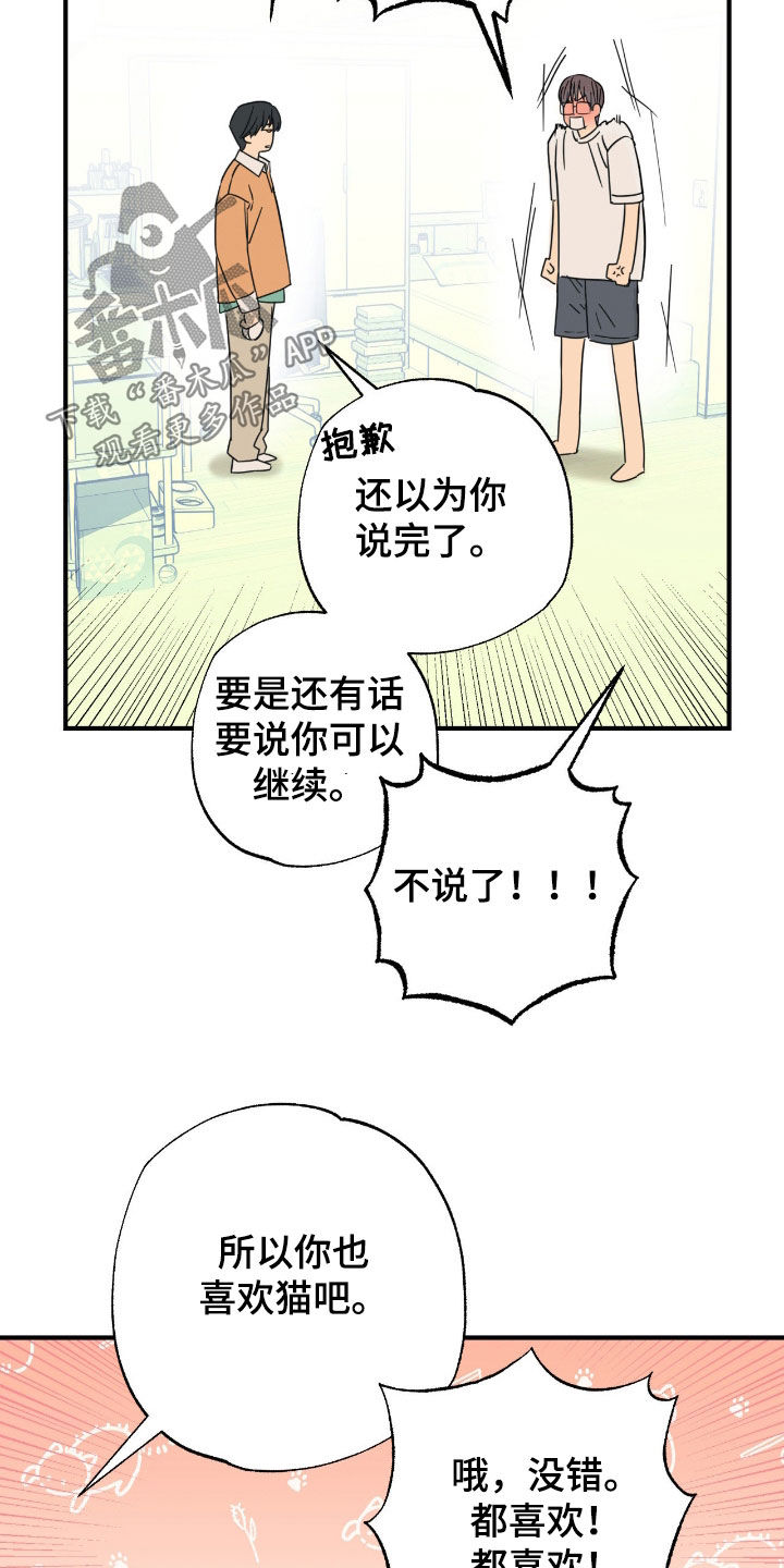 猫大爷和我漫画,第34章：渣男2图