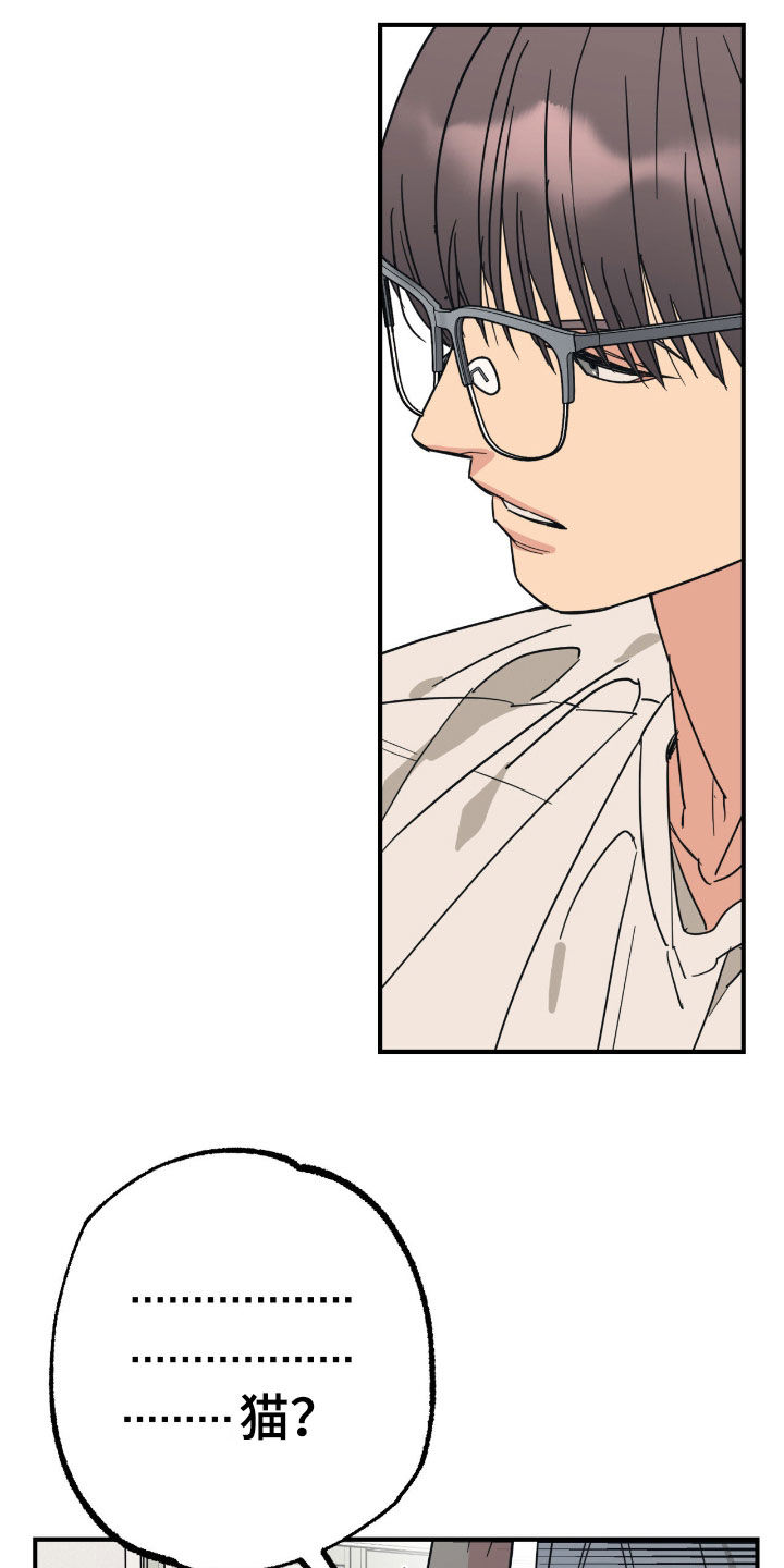 猫大爷和我漫画,第34章：渣男4图