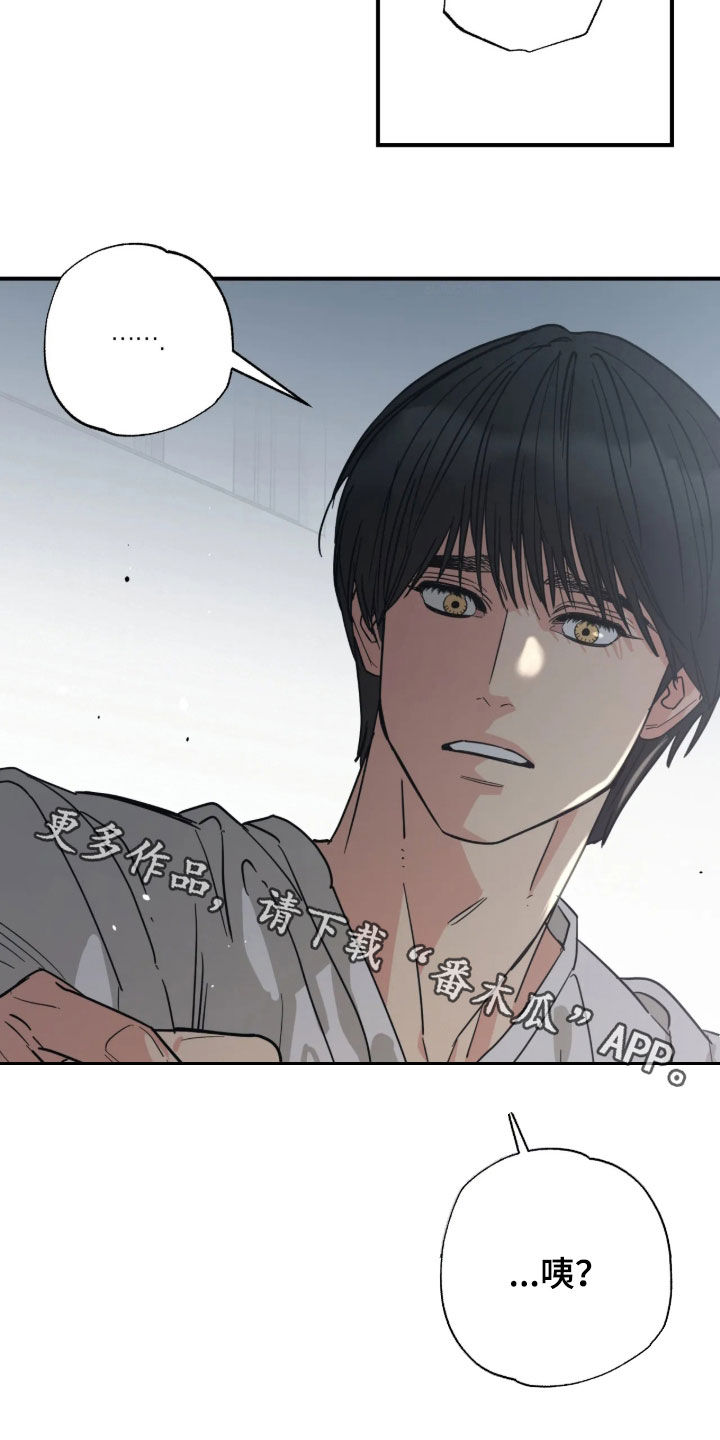 猫大爷和我漫画,第38章：太不像话了5图