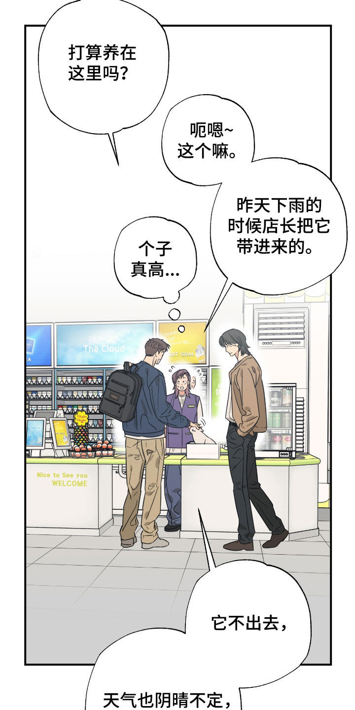 猫大爷和我漫画,第37章：结束这段关系4图