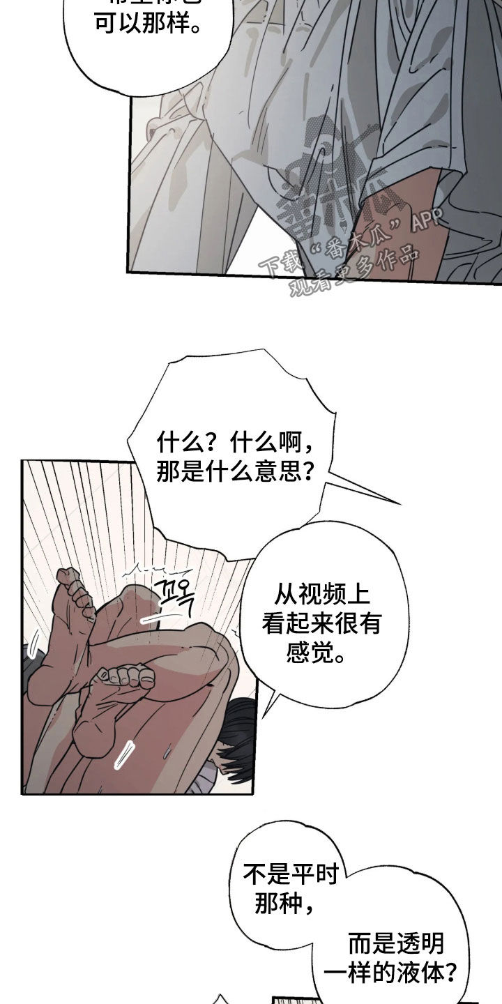 猫大爷和我漫画,第38章：太不像话了2图