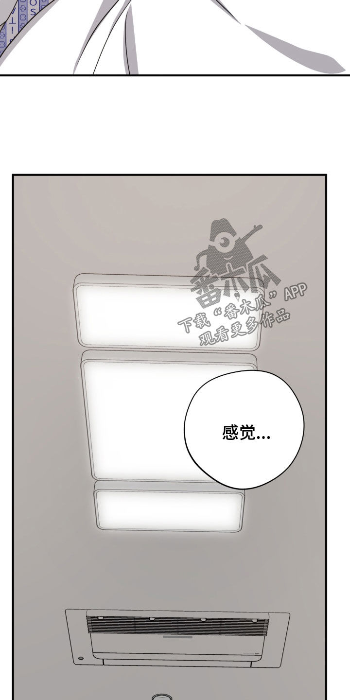 独处结束漫画,第43章：金凤凰3图
