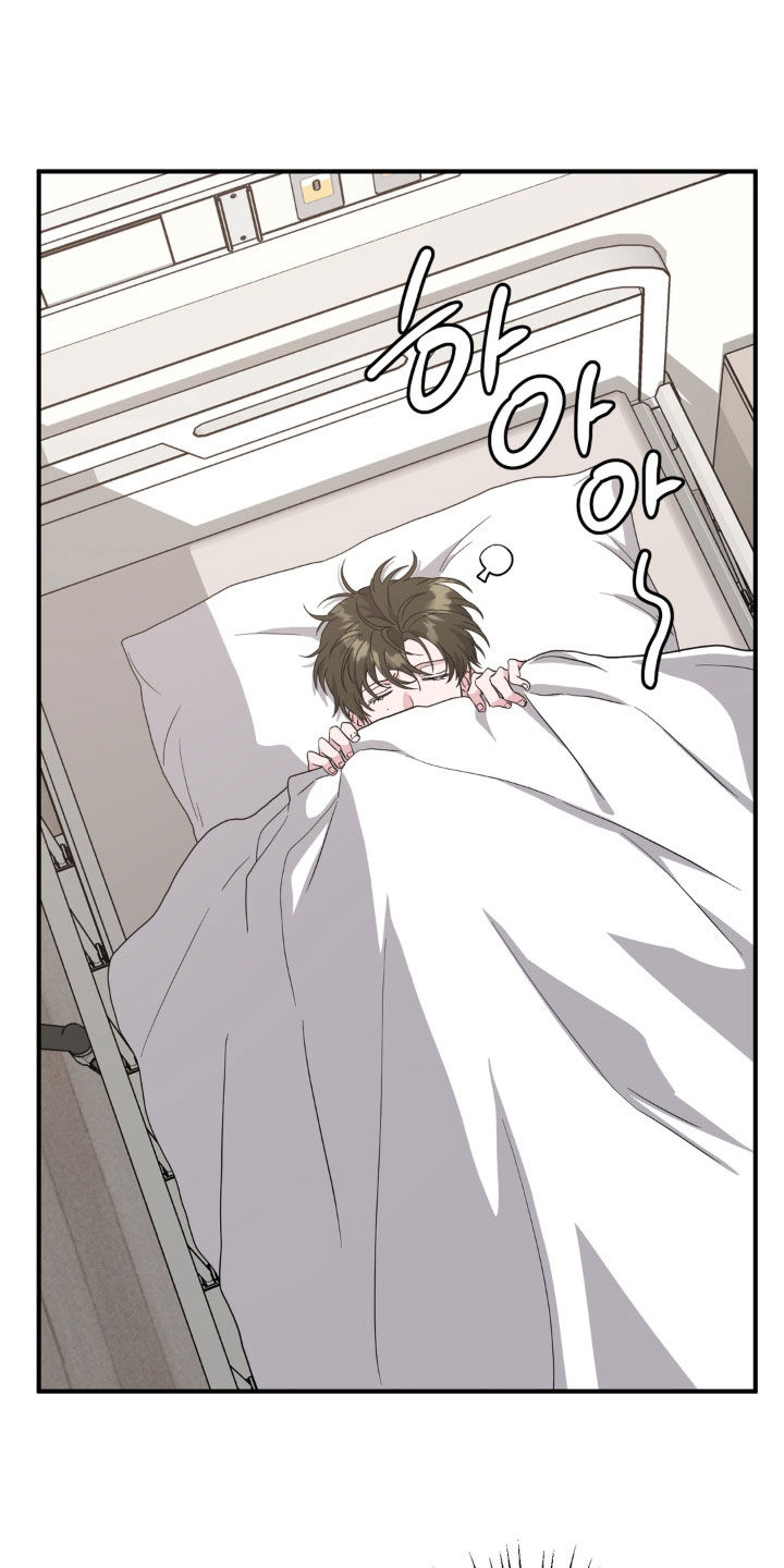 独处结束漫画,第43章：金凤凰1图