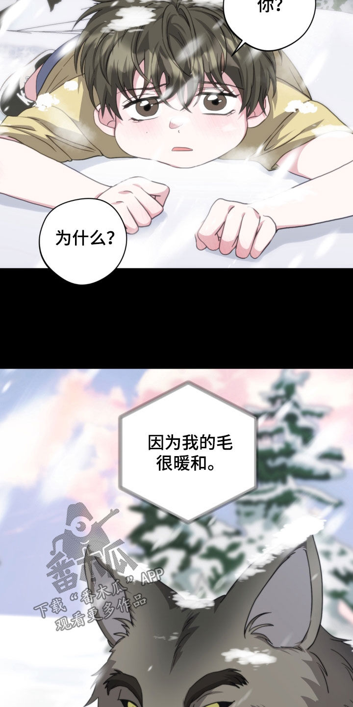 独处结束漫画,第45章：冷静点3图