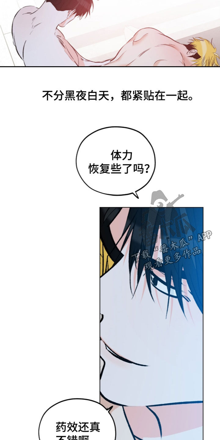 心动伪装漫画,第41章：补药2图