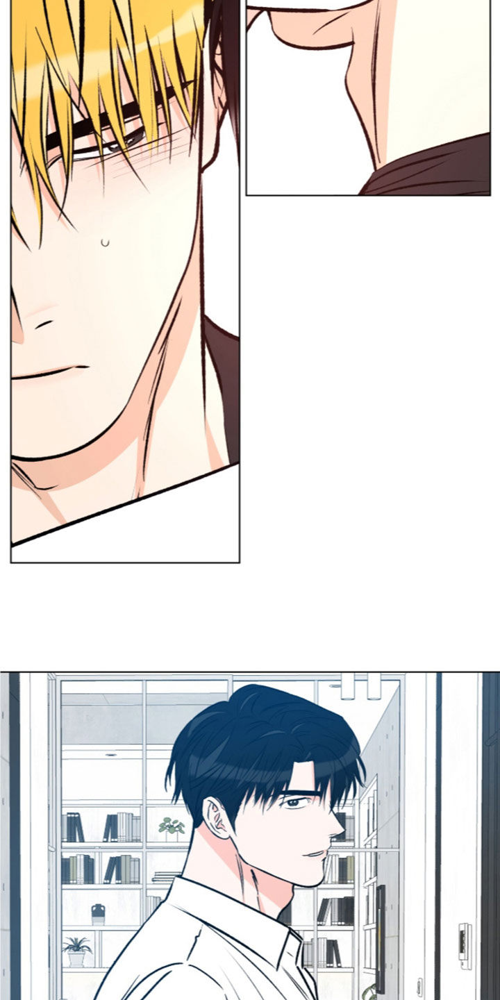 心动伪装漫画,第41章：补药2图