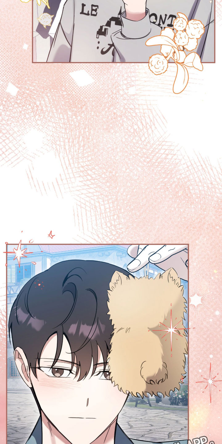 他的聚光灯漫画,第34章：汹涌的羞愧感4图