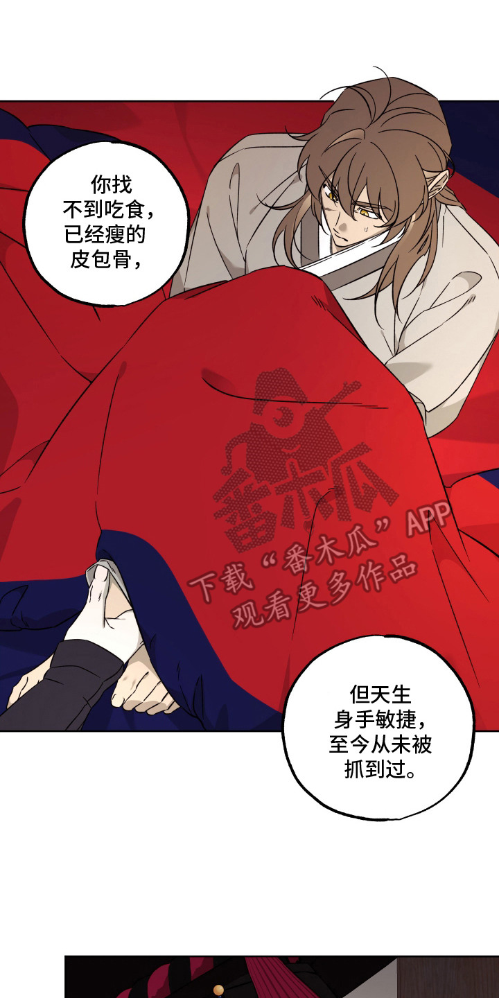 县令的私藏漫画,第7章：另有安排2图