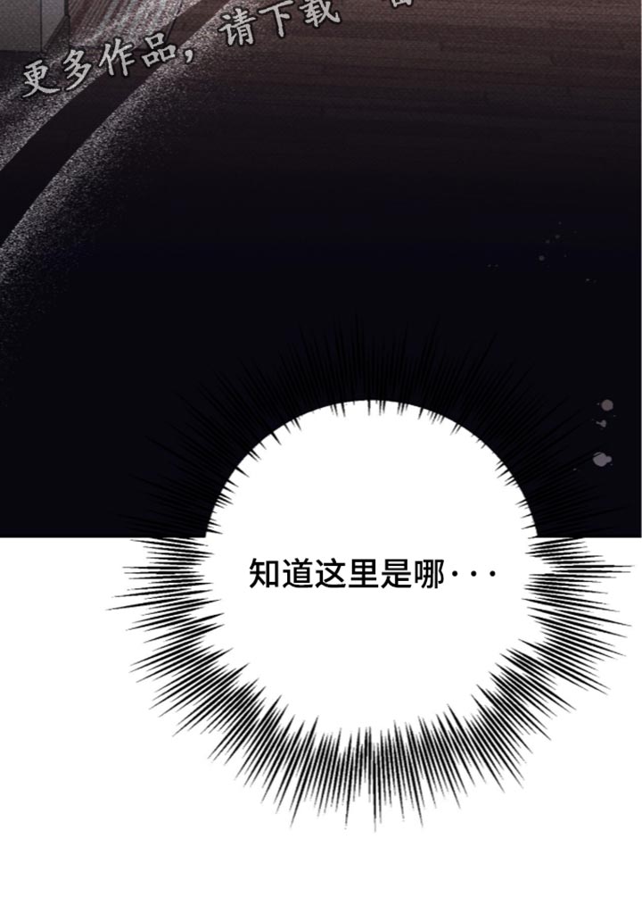心跳乱码需警惕漫画,第33章：昏迷5图