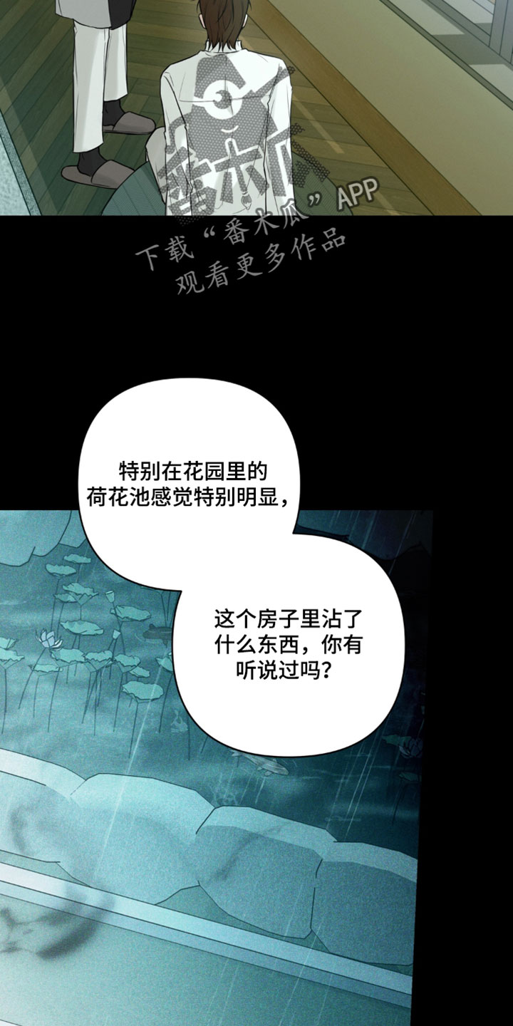 狐祸相依漫画,第18章：平衡1图