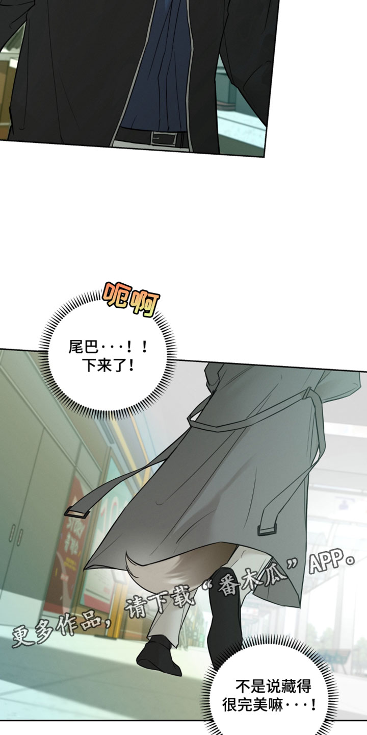狐祸相依漫画,第18章：平衡5图