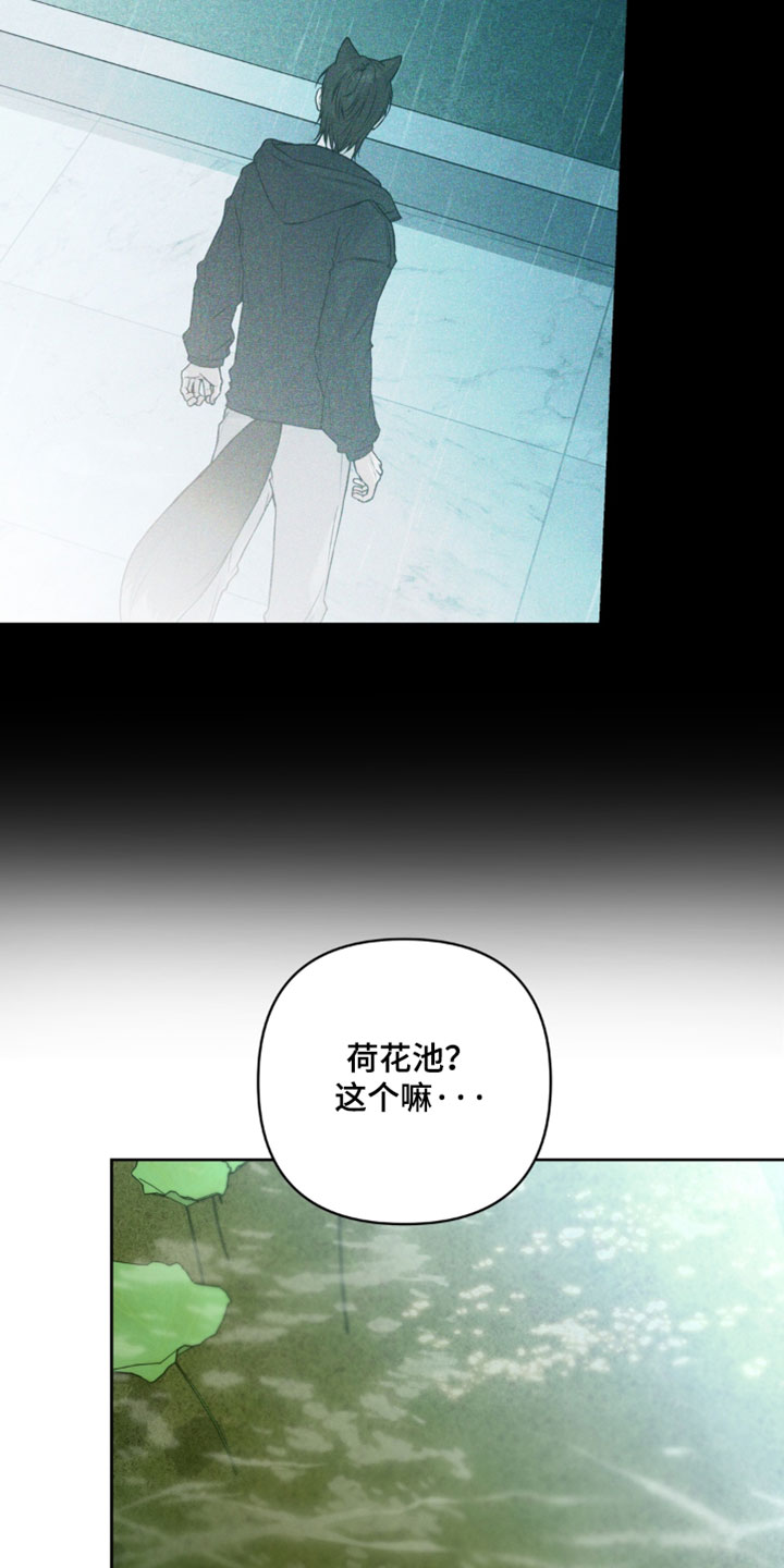狐祸相依漫画,第18章：平衡2图