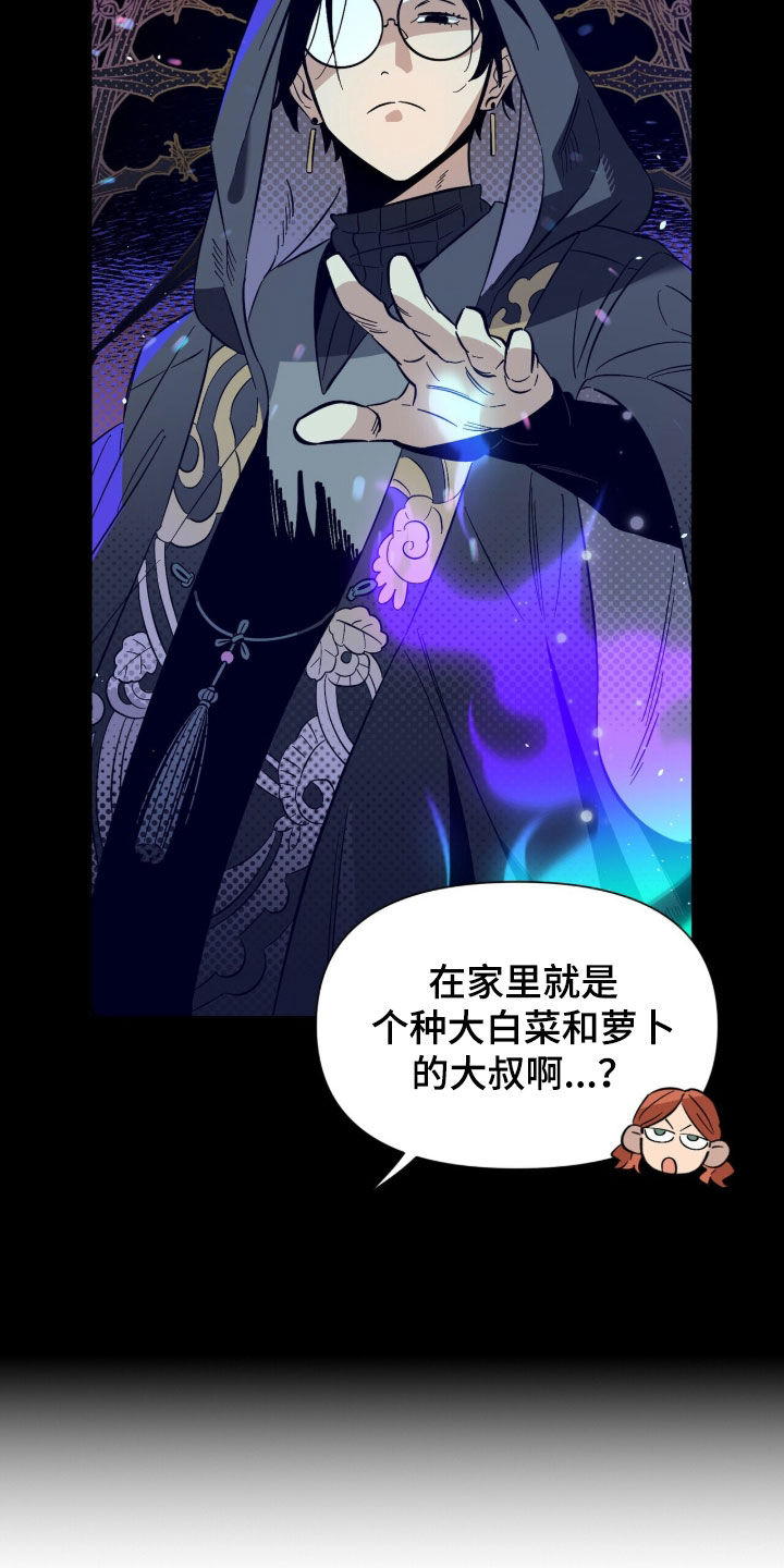 隐居的魔法师漫画,第18章：客人4图
