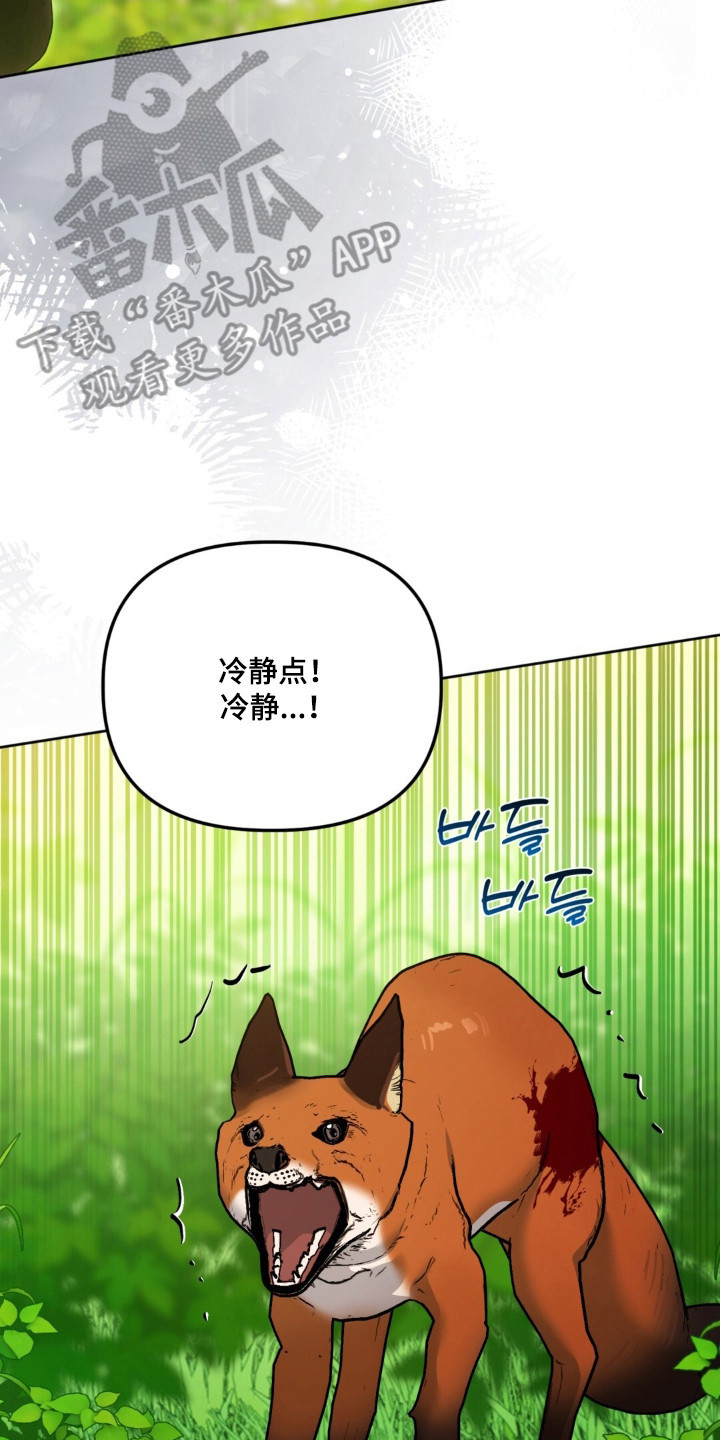 沉默的爱意漫画,第36章：陷入危险5图
