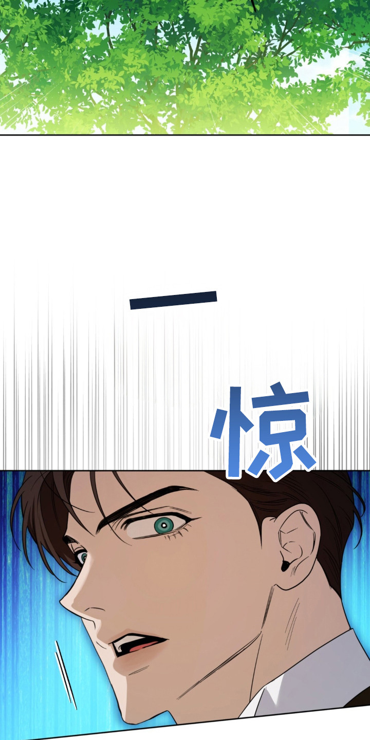 沉默的爱意漫画,第33章：打出底牌5图