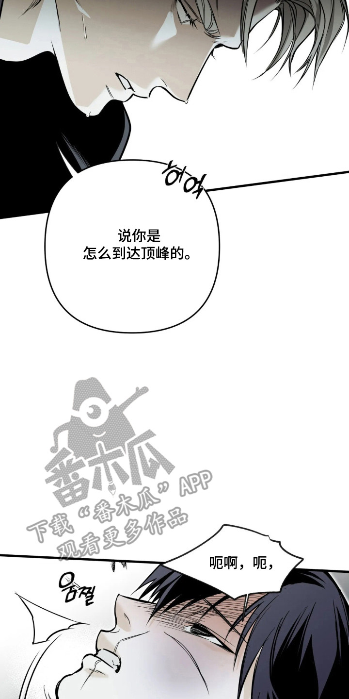 天平与剑漫画,第22章：联手合作2图