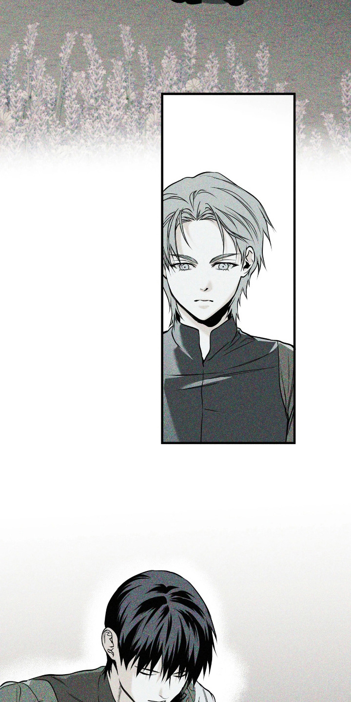 天平与剑漫画,第17章：直觉5图